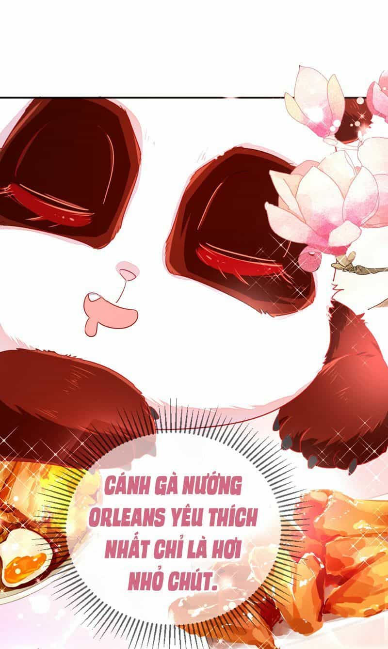 Thiên Thần Gấu Trúc Muốn Được Ôm - Chương 41 - ảnh 4