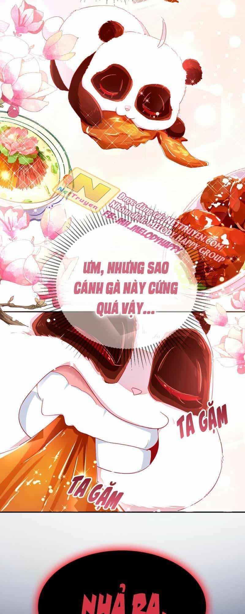 Thiên Thần Gấu Trúc Muốn Được Ôm - Chương 41 - ảnh 5