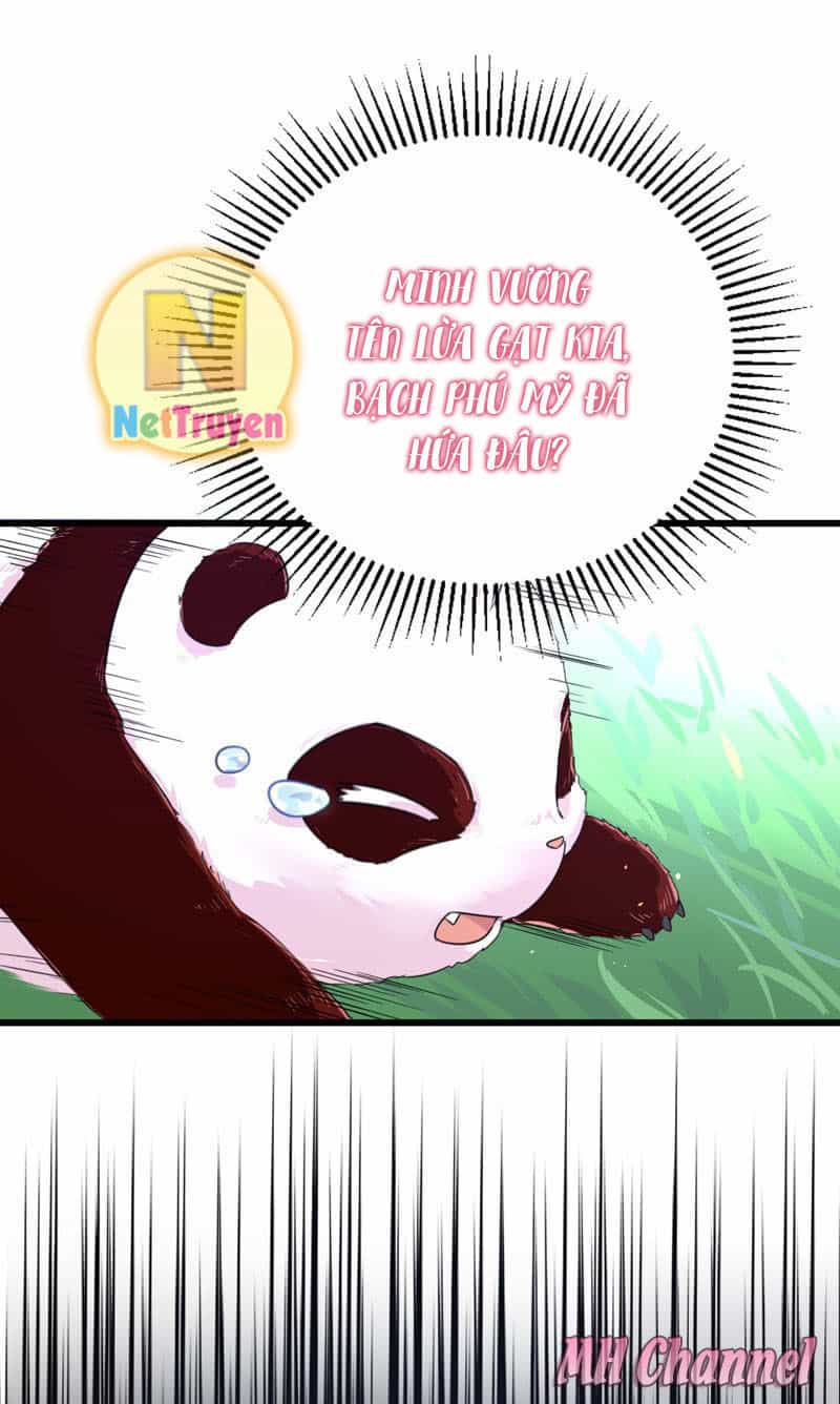 Thiên Thần Gấu Trúc Muốn Được Ôm - Chương 3 - ảnh 13