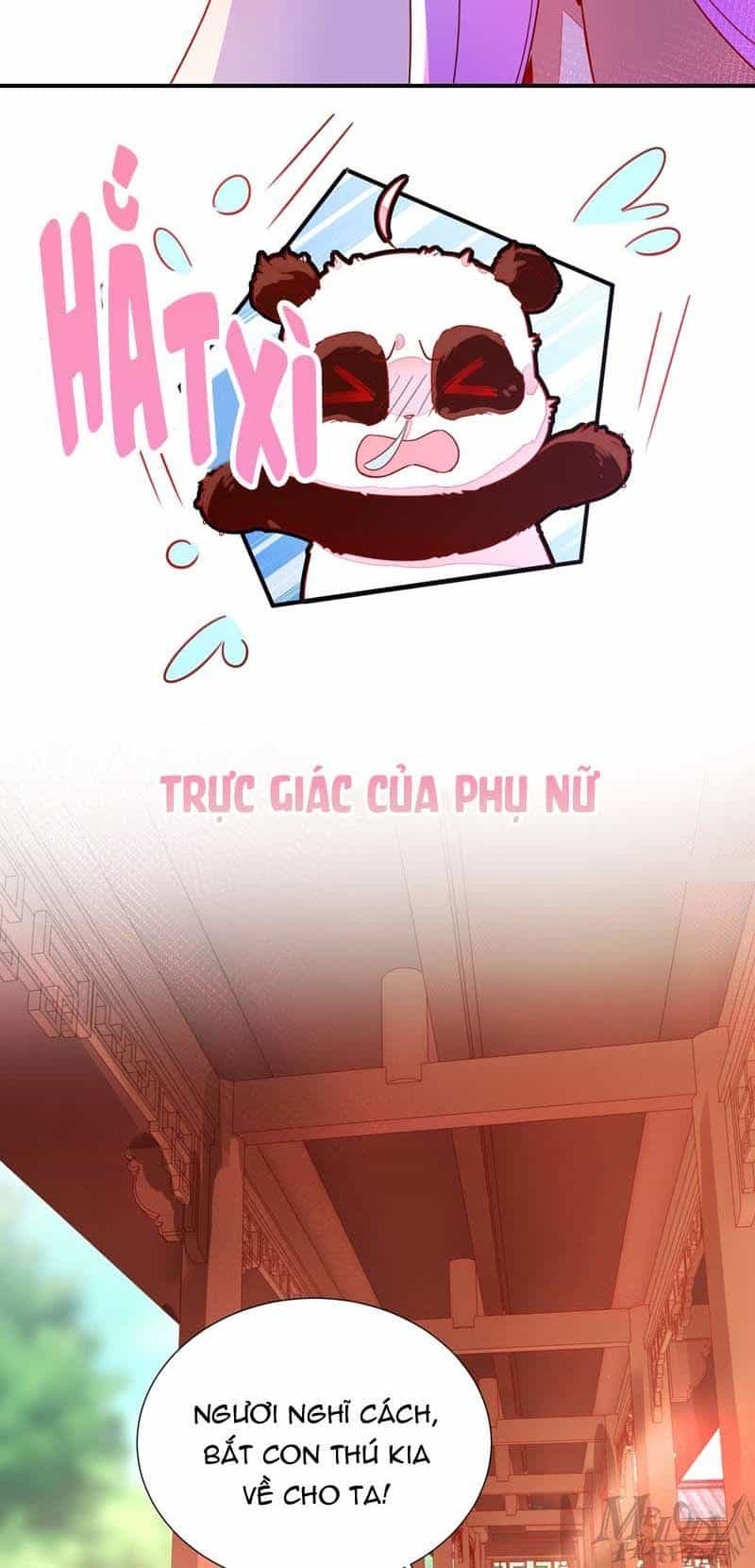 Thiên Thần Gấu Trúc Muốn Được Ôm - Chương 44 - ảnh 18