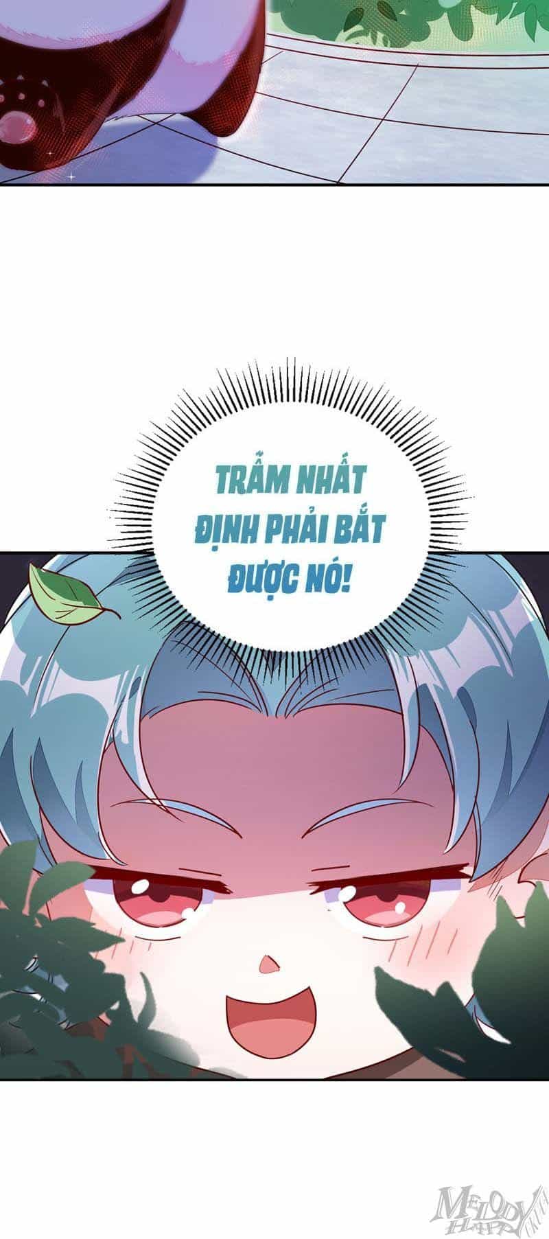Thiên Thần Gấu Trúc Muốn Được Ôm - Chương 45 - ảnh 15