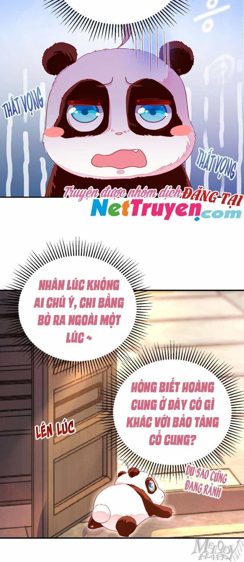 Thiên Thần Gấu Trúc Muốn Được Ôm - Chương 45 - ảnh 5