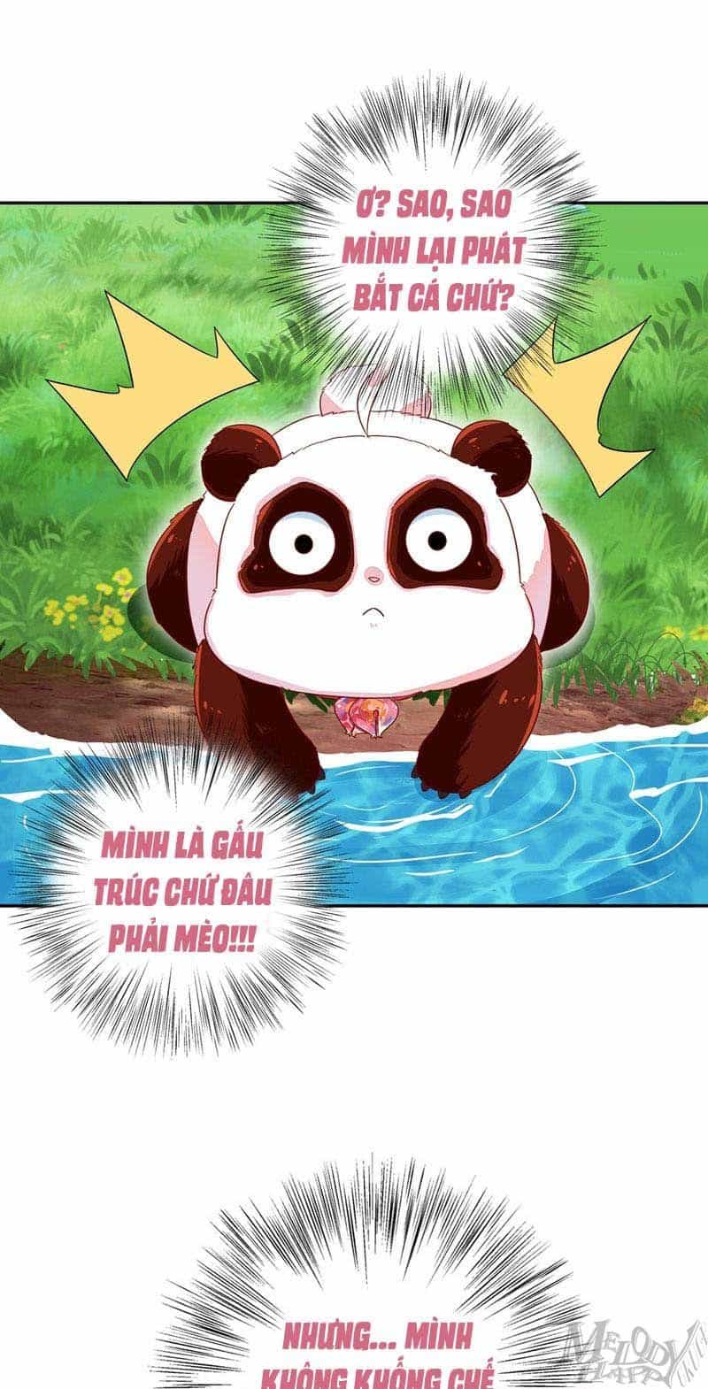 Thiên Thần Gấu Trúc Muốn Được Ôm - Chương 46 - ảnh 12