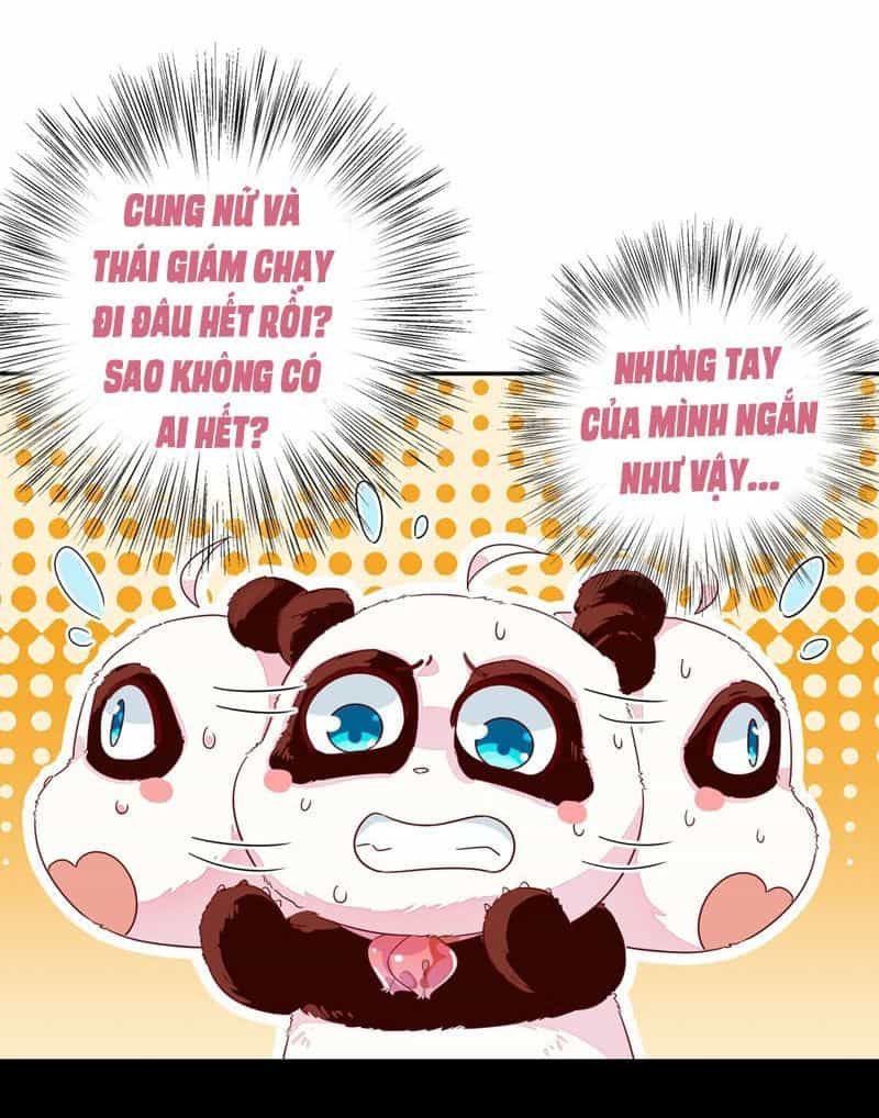 Thiên Thần Gấu Trúc Muốn Được Ôm - Chương 47 - ảnh 3