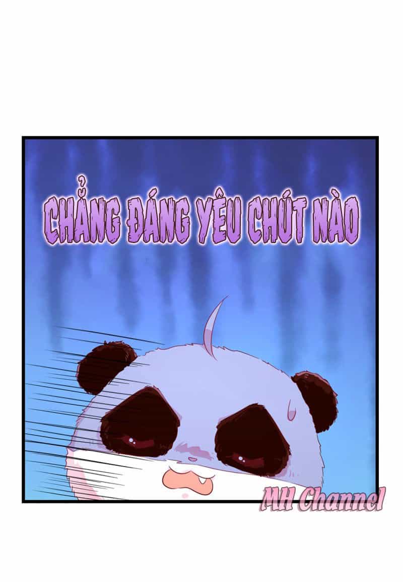 Thiên Thần Gấu Trúc Muốn Được Ôm - Chương 5 - ảnh 13