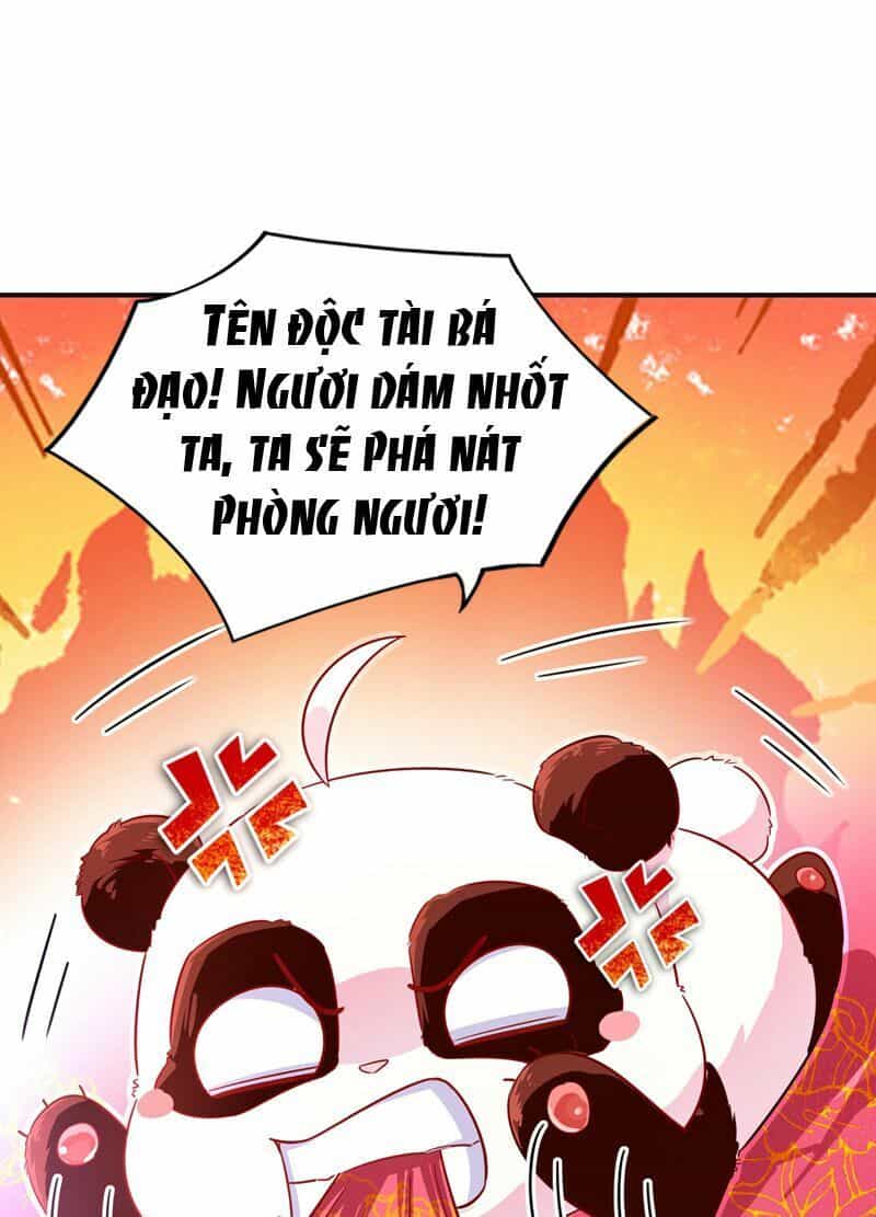 Thiên Thần Gấu Trúc Muốn Được Ôm - Chương 58 - ảnh 33
