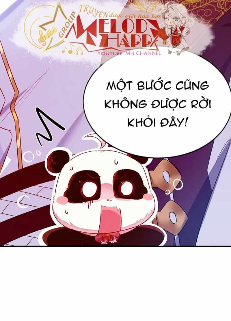 Thiên Thần Gấu Trúc Muốn Được Ôm - Chương 58 - ảnh 42