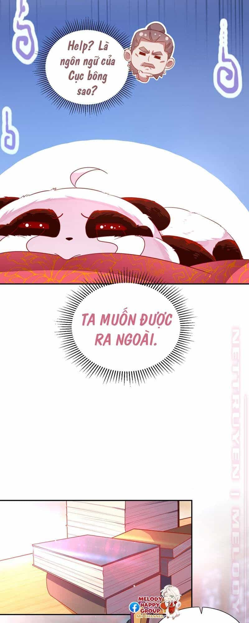 Thiên Thần Gấu Trúc Muốn Được Ôm - Chương 59 - ảnh 21