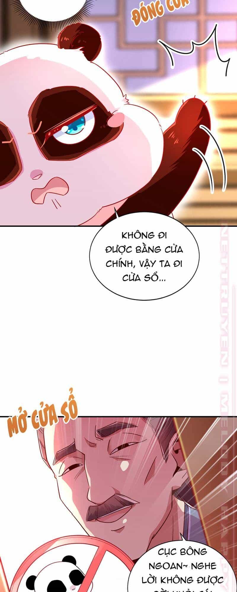 Thiên Thần Gấu Trúc Muốn Được Ôm - Chương 59 - ảnh 9