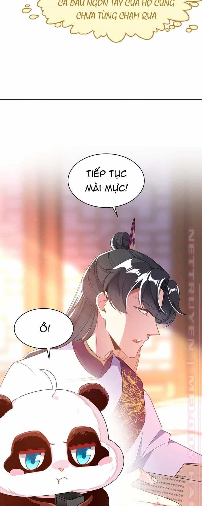 Thiên Thần Gấu Trúc Muốn Được Ôm - Chương 61 - ảnh 21