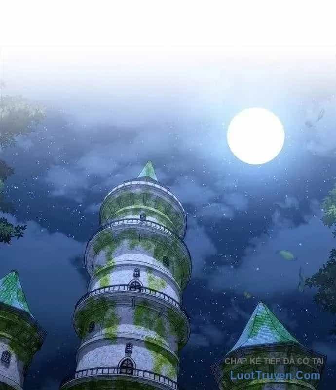 Thiếu Gia Chủ Của Gia Tộc Tử Linh Sư - Chương 50 - ảnh 2