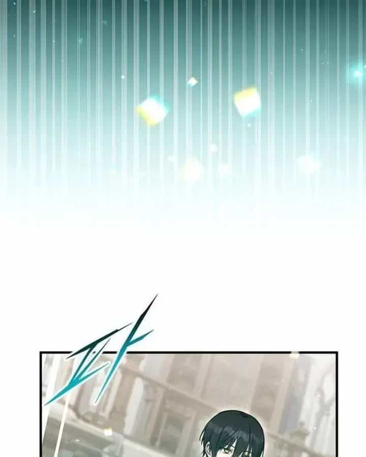 Thiếu Gia Chủ Của Gia Tộc Tử Linh Sư - Chương 69 - ảnh 159