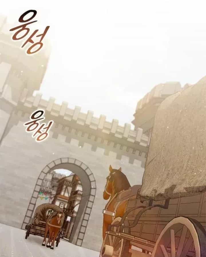 Thiếu Gia Chủ Của Gia Tộc Tử Linh Sư - Chương 69 - ảnh 57