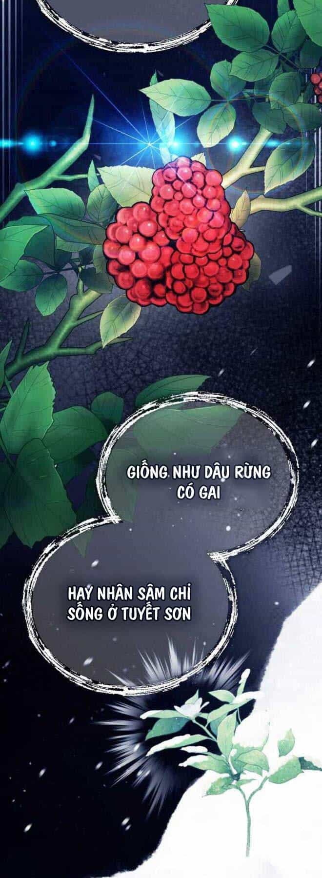 Thiếu Gia Yểu Mệnh Nhà Họ Bạch - Chương 38 - ảnh 22