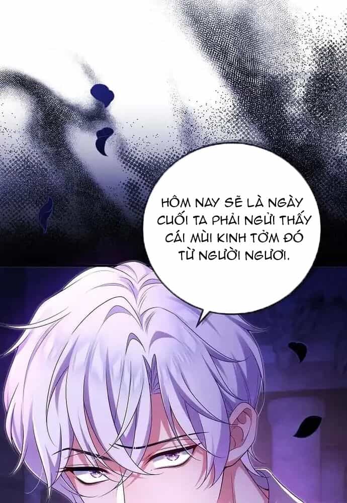 Thiếu Nữ Bị Ruồng Bỏ: Kế Hoạch Báo Thù Của Gia Tộc Pháp Sư - Chương 1 - ảnh 73