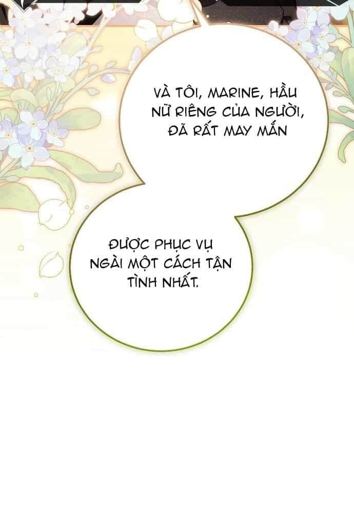 Thiếu Nữ Bị Ruồng Bỏ: Kế Hoạch Báo Thù Của Gia Tộc Pháp Sư - Chương 11 - ảnh 17