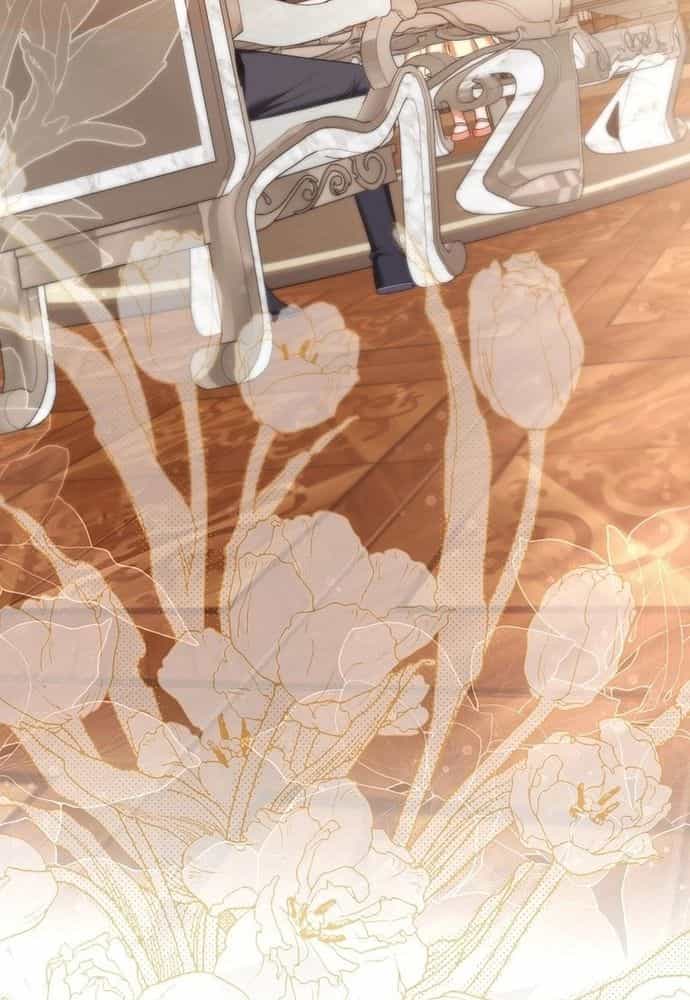 Thiếu Nữ Bị Ruồng Bỏ: Kế Hoạch Báo Thù Của Gia Tộc Pháp Sư - Chương 13 - ảnh 5