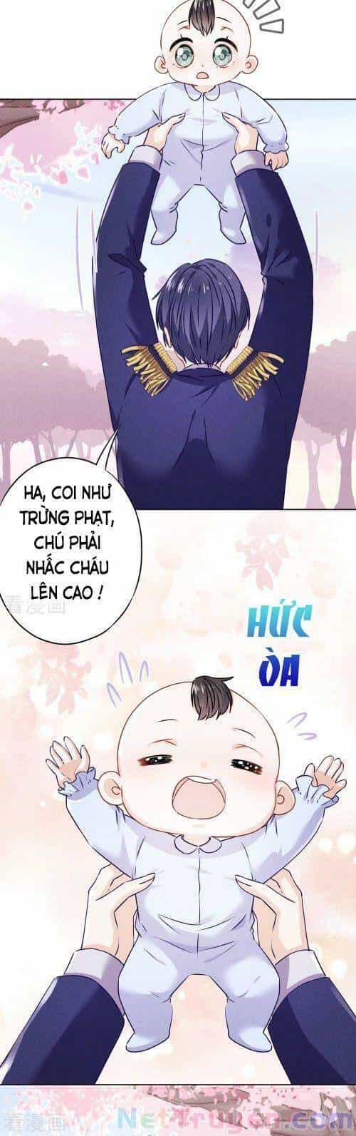 Thiếu Soái, Vợ Anh Muốn Lật Trời! - Chương 121 - ảnh 14
