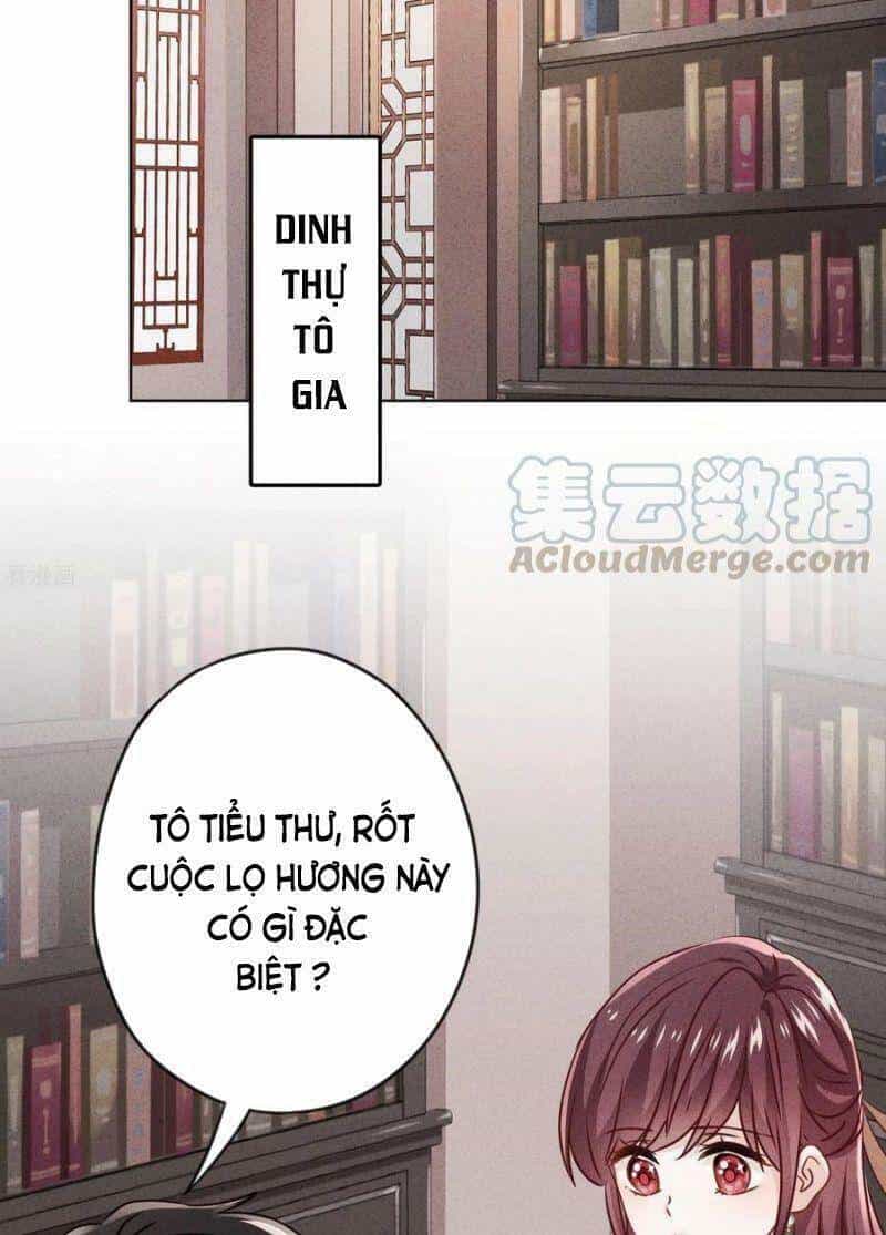 Thiếu Soái, Vợ Anh Muốn Lật Trời! - Chương 135 - ảnh 15