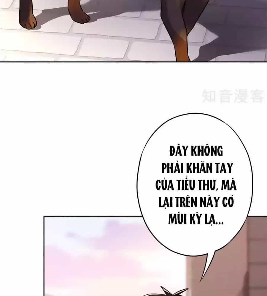 Thiếu Soái, Vợ Anh Muốn Lật Trời! - Chương 32 - ảnh 52