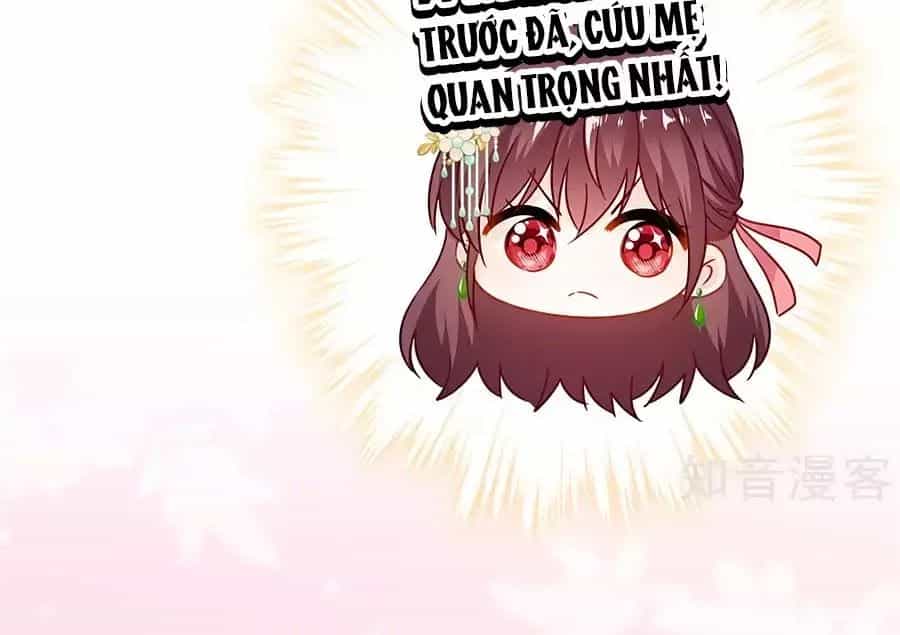 Thiếu Soái, Vợ Anh Muốn Lật Trời! - Chương 44 - ảnh 39