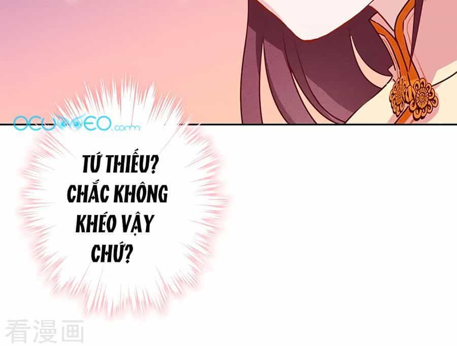 Thiếu Soái, Vợ Anh Muốn Lật Trời! - Chương 4 - ảnh 11