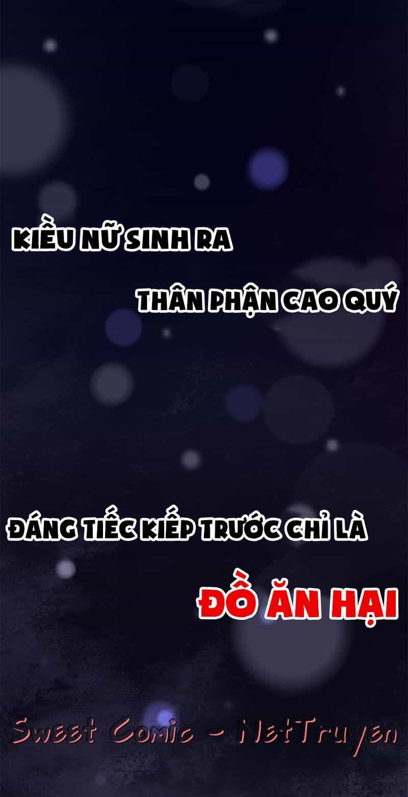 Thịnh Sủng Kiều Nữ Trở Về Triều Ca - Chương 0 - ảnh 3