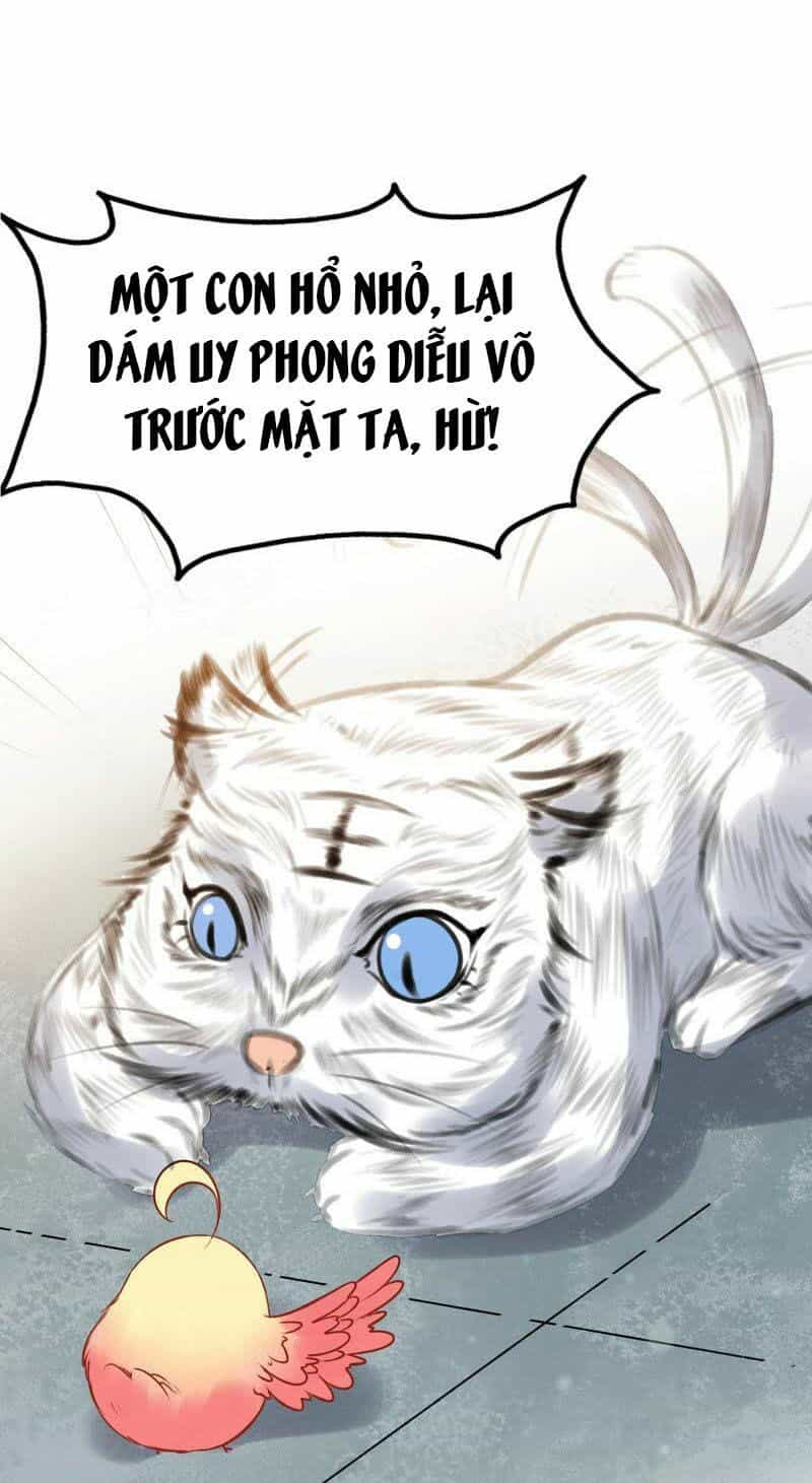 Thịnh Sủng Kiều Nữ Trở Về Triều Ca - Chương 33 - ảnh 10
