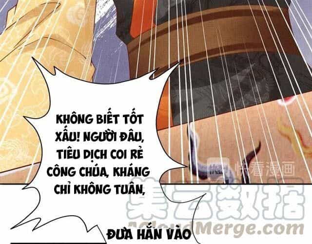 Thịnh Sủng Y Phi Chi Dao Quan Truyện - Chương 99 - ảnh 28