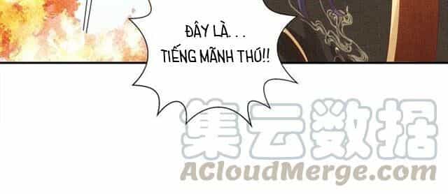 Thịnh Sủng Y Phi Chi Dao Quan Truyện - Chương 115 - ảnh 37