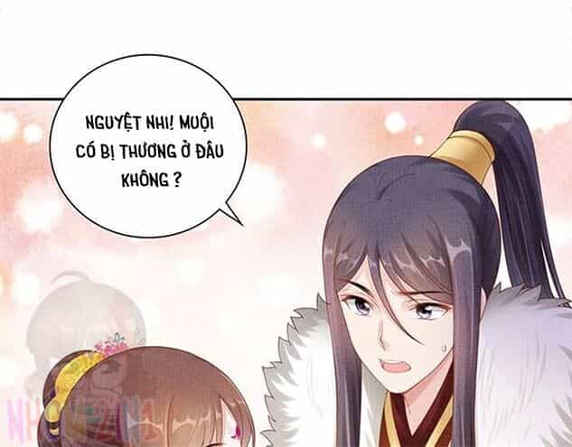Thịnh Sủng Y Phi Chi Dao Quan Truyện - Chương 141 - ảnh 52