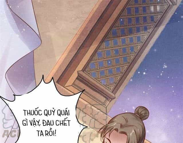 Thịnh Sủng Y Phi Chi Dao Quan Truyện - Chương 46 - ảnh 29