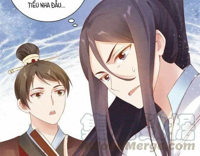 Thịnh Sủng Y Phi Chi Dao Quan Truyện - Chương 50 - ảnh 40