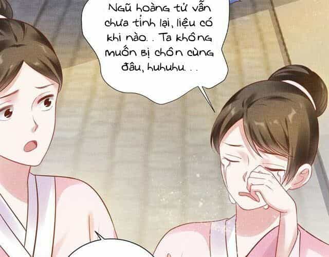 Thịnh Sủng Y Phi Chi Dao Quan Truyện - Chương 58 - ảnh 11