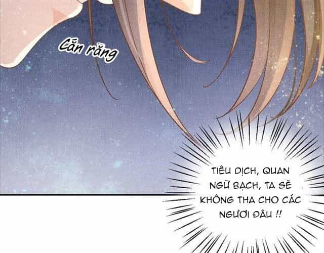 Thịnh Sủng Y Phi Chi Dao Quan Truyện - Chương 90 - ảnh 15