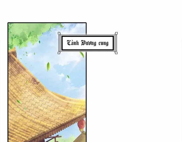 Thịnh Sủng Y Phi Chi Dao Quan Truyện - Chương 95 - ảnh 51