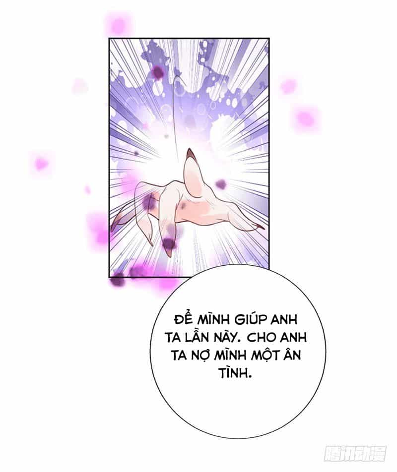 Thịnh Thế Hoa Sủng: Tôi Bị Bắt Làm Tù Binh - Chương 5 - ảnh 16