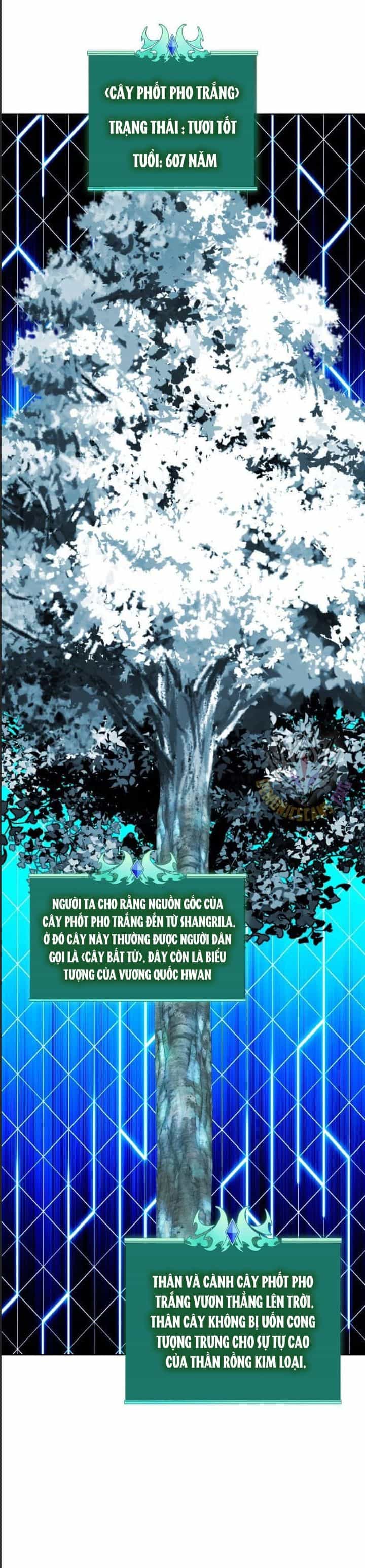 Thợ Rèn Huyền Thoại - Chương 253 - ảnh 10