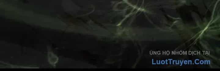 Thợ Săn Sống Trong Căn Hộ Thuê - Chương 21 - ảnh 52