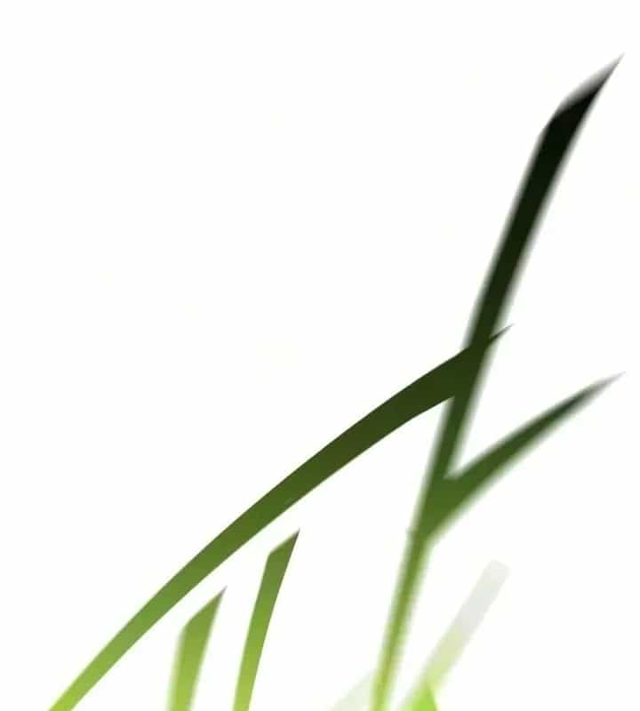 Thống Lĩnh Học Viện Chỉ Bằng Dao Sashimi - Chương 86 - ảnh 155