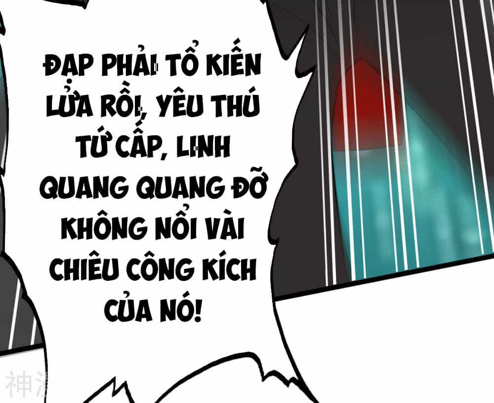Thông Thiên Chi Lộ - Chương 19 - ảnh 23