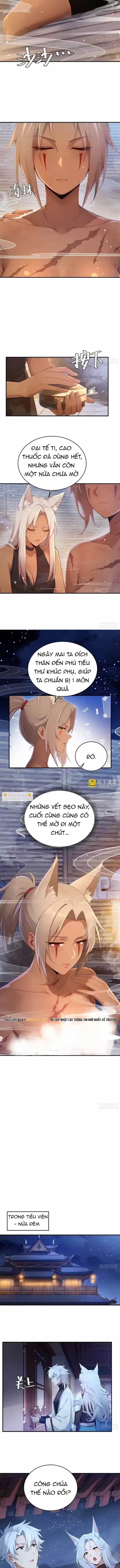 Thu Thập Hậu Cung: Ta Phải Cứu Vớt 7 Ác Nữ - Chương 39 - ảnh 5