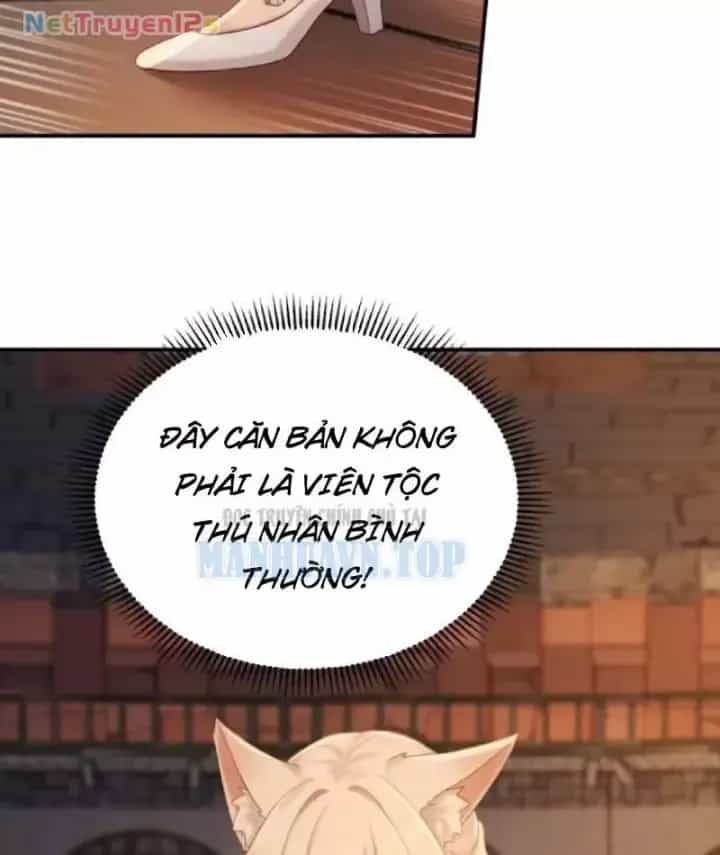 Thu Thập Hậu Cung: Ta Phải Cứu Vớt 7 Ác Nữ - Chương 67 - ảnh 8
