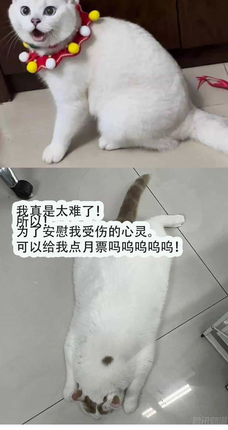 Thú Thế Ngọt Sủng, Tôi Ở Dị Giới Làm Vũ Thần - Chương 30 - ảnh 34