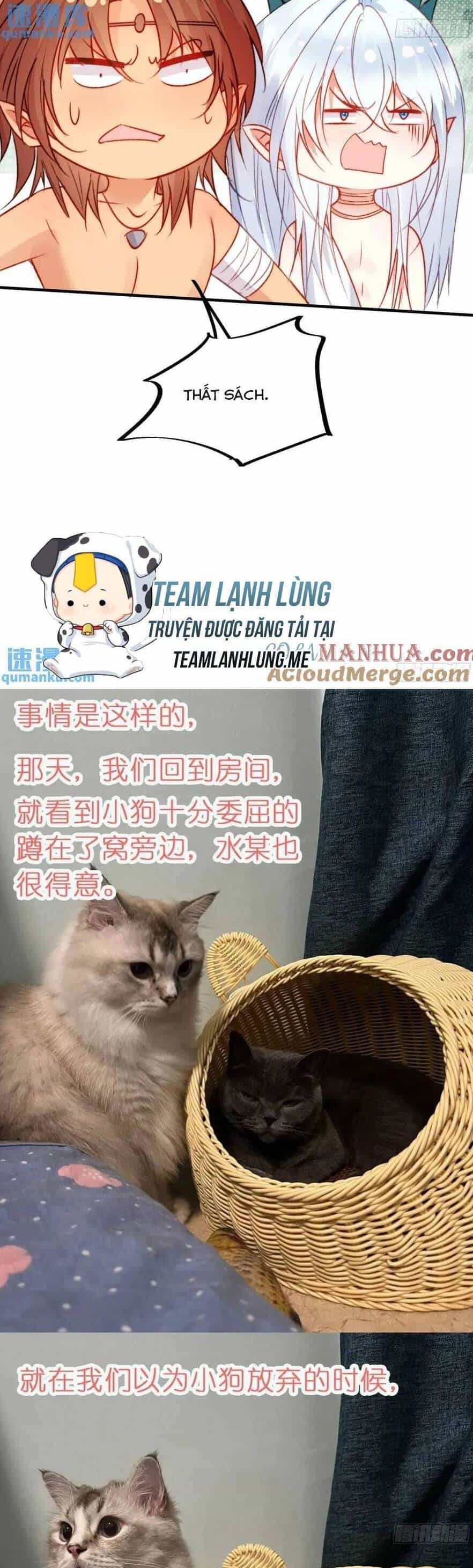 Thú Thế Ngọt Sủng, Tôi Ở Dị Giới Làm Vũ Thần - Chương 36 - ảnh 30