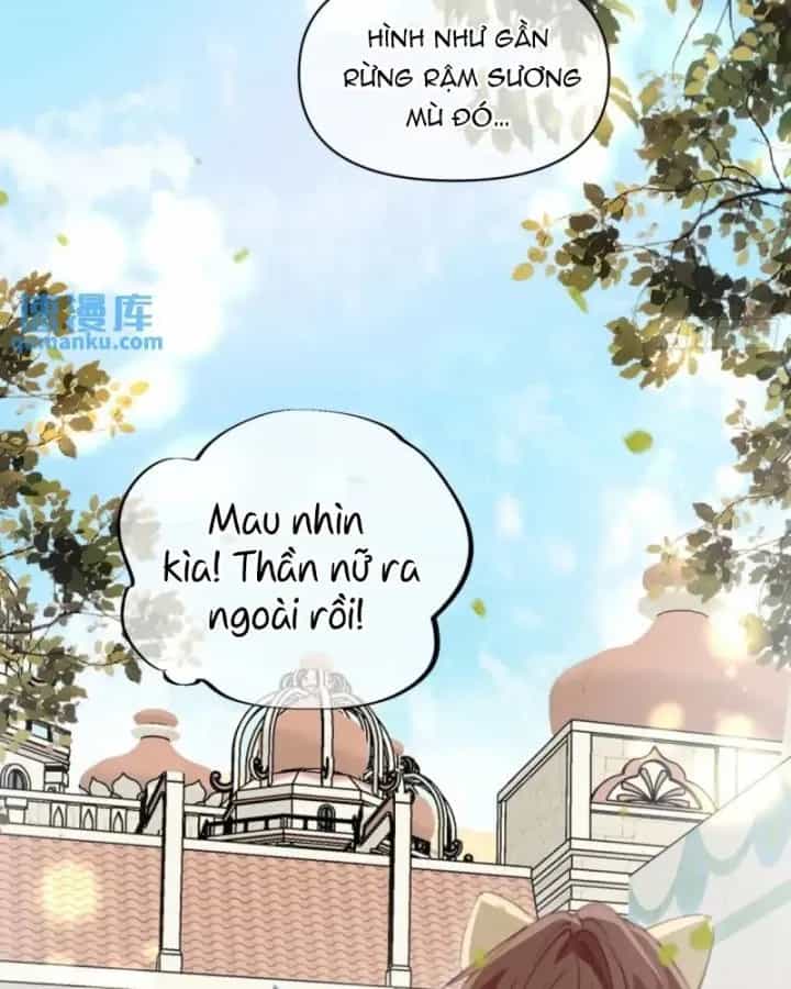 Thú Thế Ngọt Sủng, Tôi Ở Dị Giới Làm Vũ Thần - Chương 57 - ảnh 46