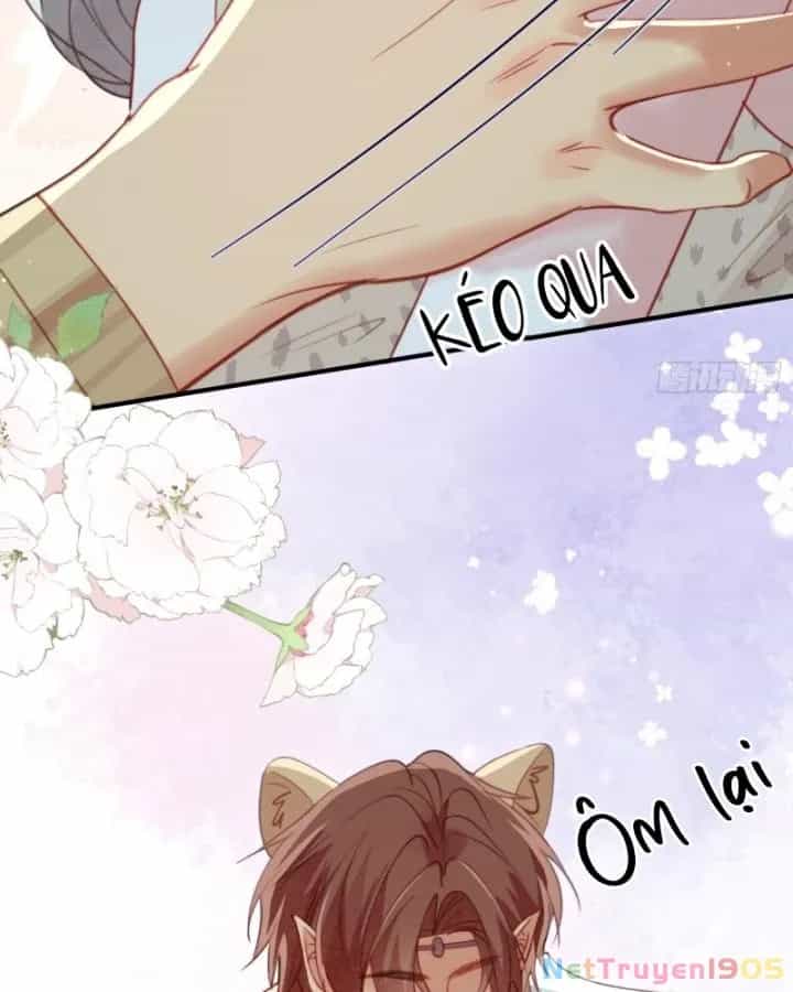 Thú Thế Ngọt Sủng, Tôi Ở Dị Giới Làm Vũ Thần - Chương 58 - ảnh 22