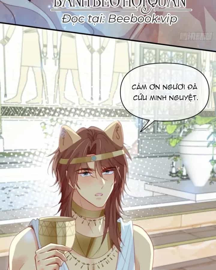 Thú Thế Ngọt Sủng, Tôi Ở Dị Giới Làm Vũ Thần - Chương 58 - ảnh 68