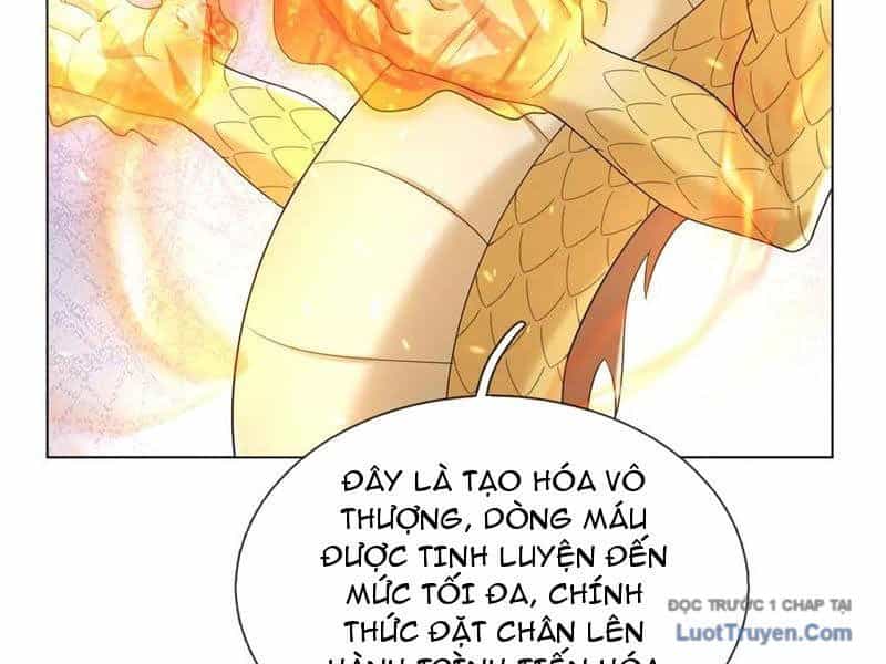 Thu Triệu Vạn Đồ Đệ, Vi Sư Vô Địch Thế Gian - Chương 201 - ảnh 71