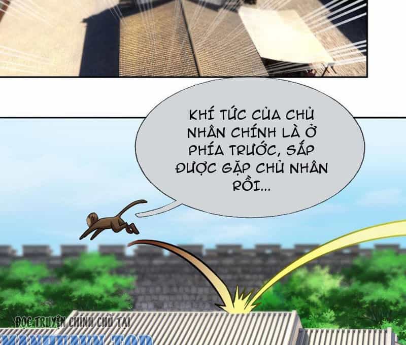 Thu Triệu Vạn Đồ Đệ, Vi Sư Vô Địch Thế Gian - Chương 45 - ảnh 50